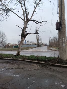 �������, 5 ������, ������������ ��� ���� ��� "������� ������������� �.�������" ��������� ������ �� ���������� ������� � ������� ��������� �������� � ��������� ��������������� ������ �.�������