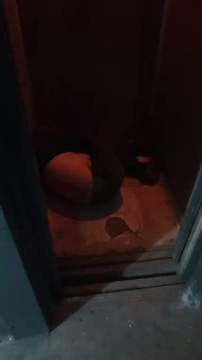 ��������� ������ ������� ����� � ����� � �������