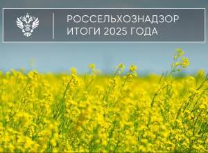 Предварительные итоги деятельности Управления Россельхознадзора по Донецкой Народной Республике и Луганской Народной Республике за 2025 год