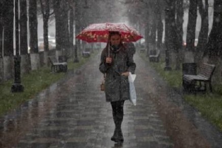 ������� ��� ������������ � ������� �������� �������� 6 ������