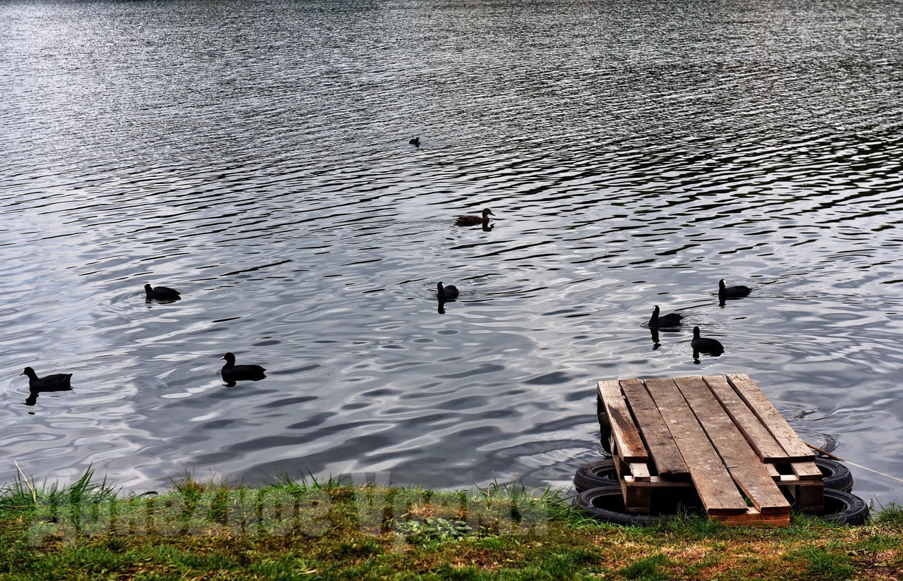 Потратили 87 миллионов рублей: в ДНР за три года расчистили 40 километров Кальмиуса