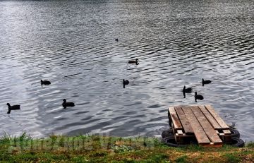 ��������� 87 ��������� ������: � ��� �� ��� ���� ���������� 40 ���������� ���������