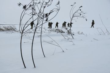Украинский боевик признался в изнасиловании и четырех убийствах на Донбассе