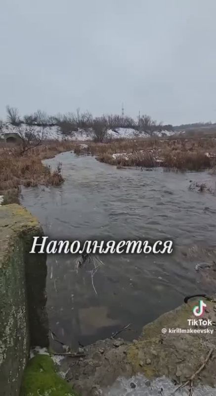 ������ ������������ ���������� ������� �������