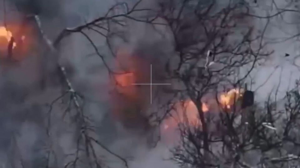 ��������� ������ ����� ���������� ���������� ���� ����� ������ �����