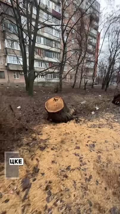 �������� ������ �� ����� �������