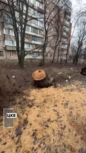 �������� ������ �� ����� �������