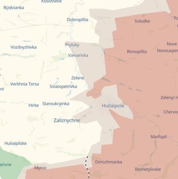 «Российские войска активно продвигаются на Гуляйпольском направлении и завершают бои за сам город