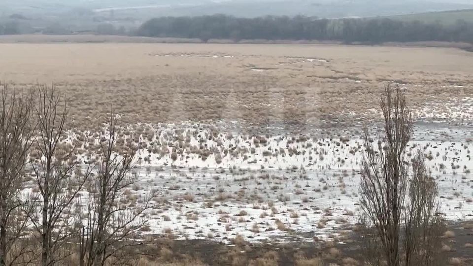 ������ �������� ���� � ����������� �������