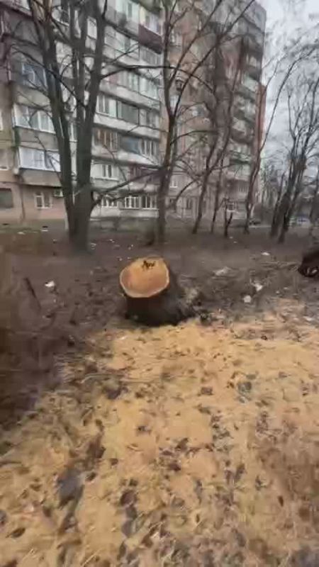 ��������� � �������. ������ ����������!