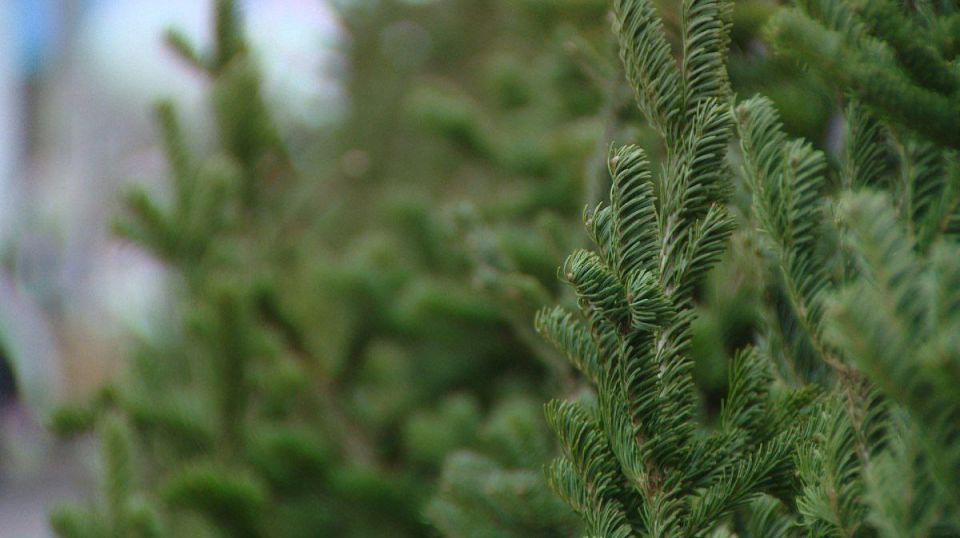 ���������� ��� ���������� �������������� � ������������� ����� �������� ����������