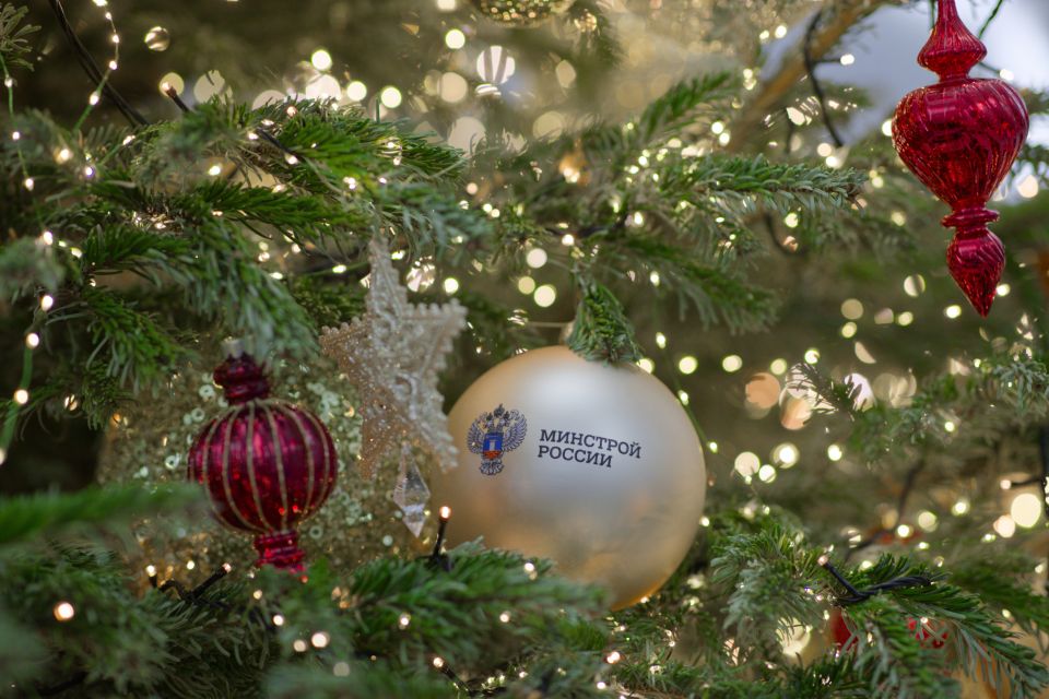 Определены победители Всероссийского конкурса «Елки России»