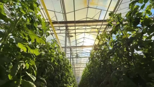 � ���������������� ��������� �������� �������� ���������� ������������ ���������� ����� �������������� ��������