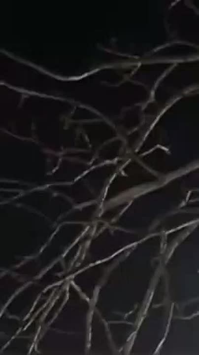 ����� ������ ��� �������� ������ ����� ����������