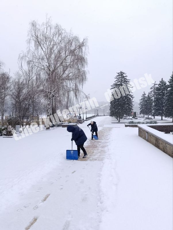 ���������� �������� ������ ���������� ������ ������ �� ��������������� ��������� �����������