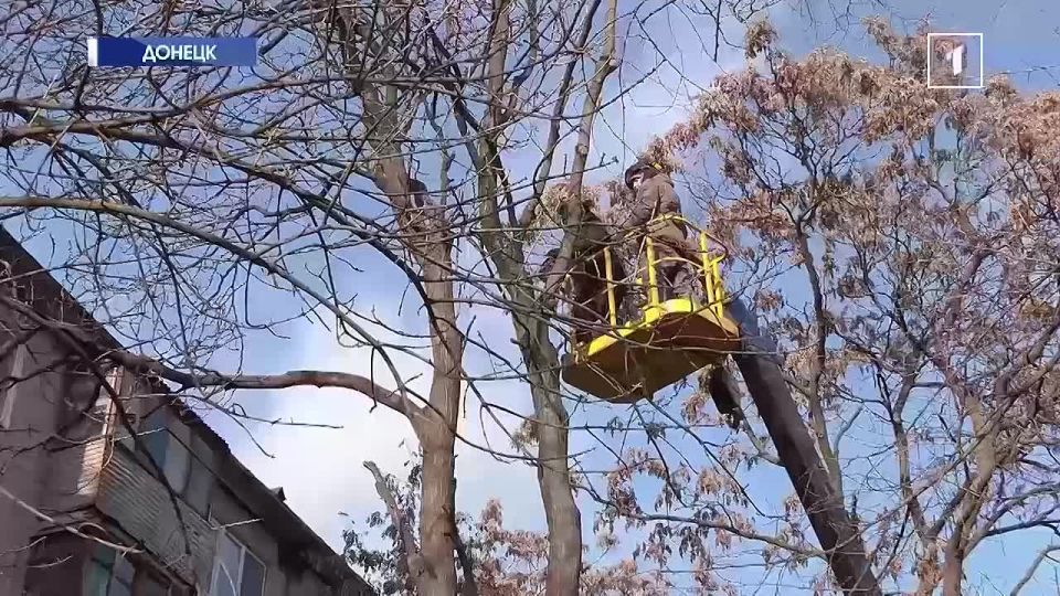 �����, ������ � ���������: � ������� ��� ��������� � ������� ��������� �������!