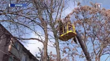 �����, ������ � ���������: � ������� ��� ��������� � ������� ��������� �������!