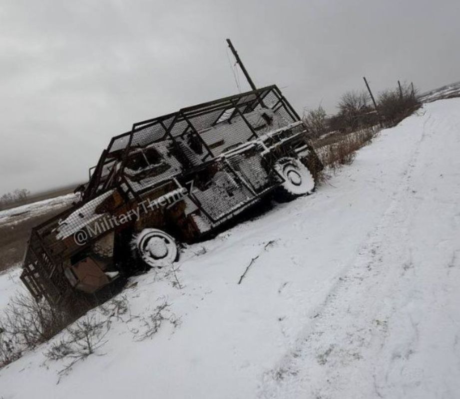 ������������ ��������������� Bushmaster � �������� ��� � �������� �������