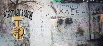 ��������������, ������ 2026�