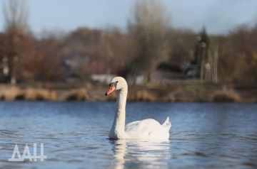 �������� ���������� �������� �������� ���������� �������� � �������