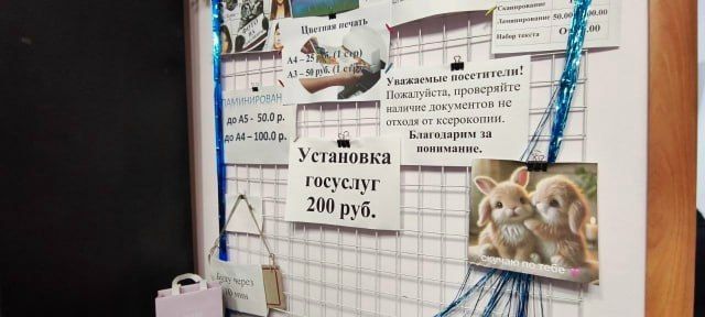Установку «Госуслуг» за 200 рублей предлагают в парикмахерской на Широком