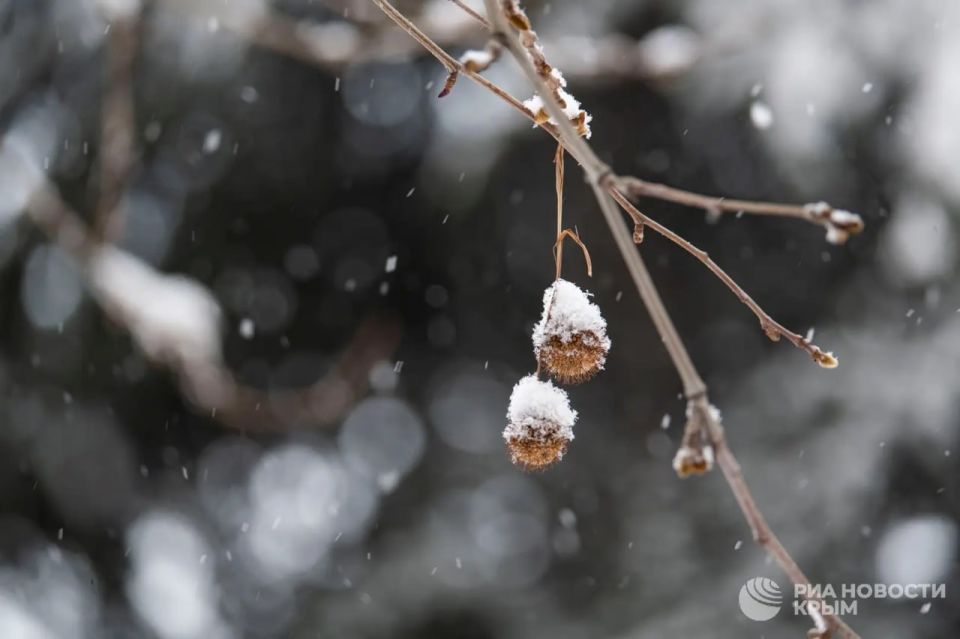 Погода на новых территориях России