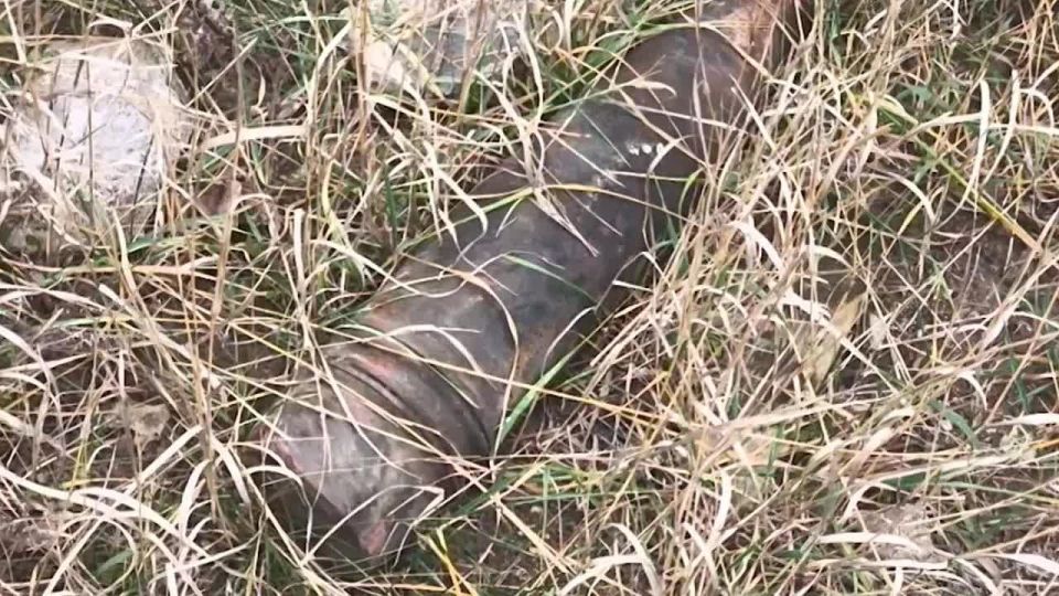 Освобождённая Великая Новосёлка: наведение порядка