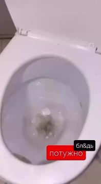 ����������� � ���-����: ������� ���. ������ ���������� �� ������ ��� �� �������� �������, ������� �� ������������