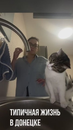 По водопроводной воде в Донецке скучают даже коты