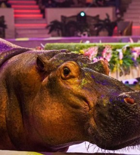 � �������� ����� ������� ���������� ����� ��� � �������� ����� 50 ��������