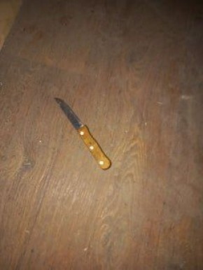 Житель Донецка зарезал знакомого в гостинице