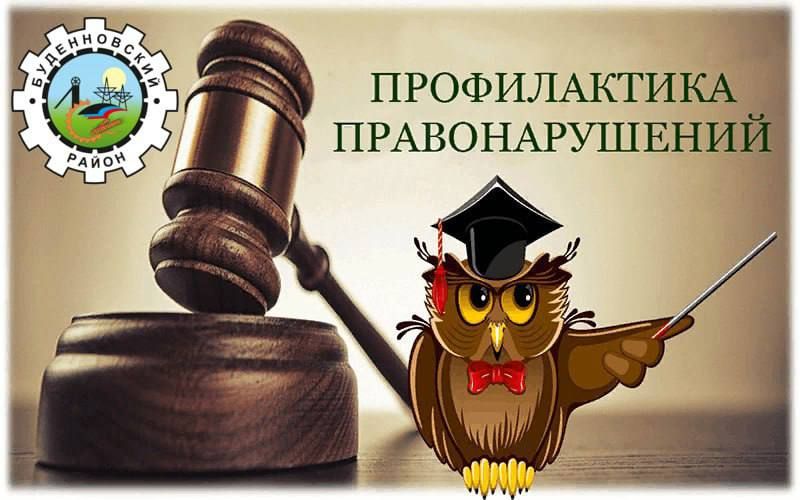 ������ ��������: �������� �����������: ������� �� ������������ ������������ � ��������������