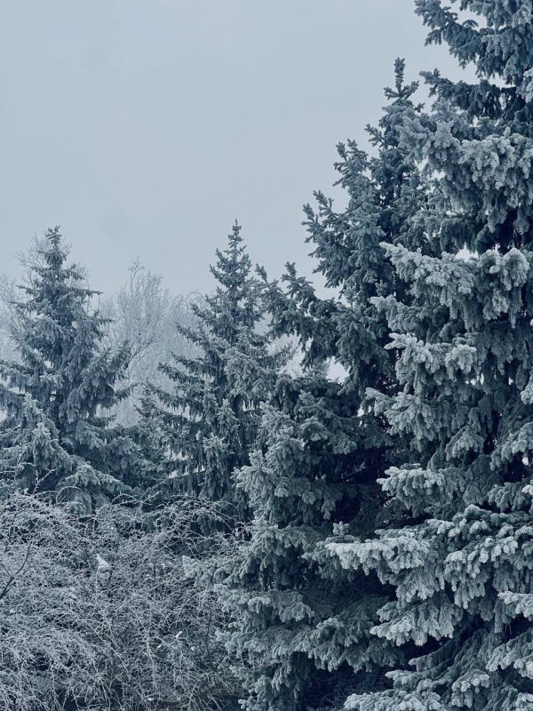 ������ ���� ���!. ������� ���� � ������� ������� ������ �� 27.01.2026 �������� �������� ����������: