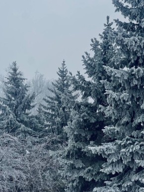 ������ ���� ���!. ������� ���� � ������� ������� ������ �� 27.01.2026 �������� �������� ����������: