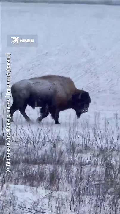 �������� ������ �� ������!�: ��������� �������� ������������ ������� ����� ������ ������� ��������� � ������� ���