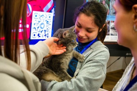 �������� ��������� ������ ��� � ������� � ���������� � ����� ���� ��������