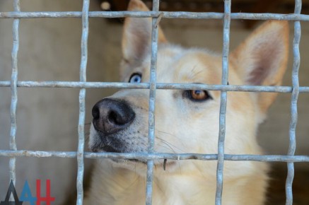 �� ������ � ������� �������� 128 ��������� �����