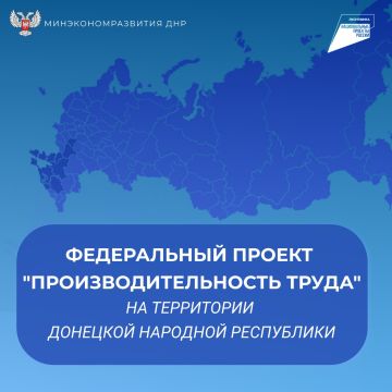 Какие меры поддержки доступны участникам федерального проекта «Производительность труда»?