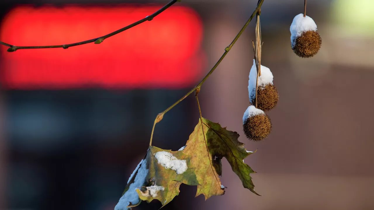 Погода на новых территориях России