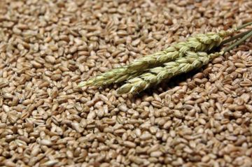 �������� ������ ������������������ ����� �������������� ������������ ���� �� ������� ����� 33 ���