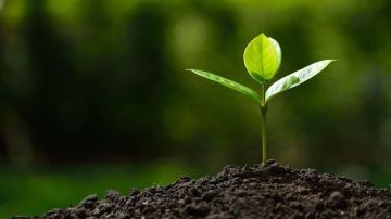 � ���������� ��� ������� ����� ������ �� ���������� ��������� �������������� ���������������� � 2025 ����