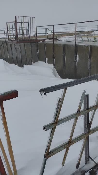 ������. ���� �������! �� �������! �����������