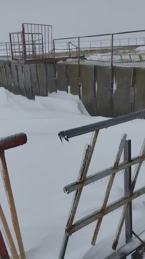 ������. ���� �������! �� �������! �����������