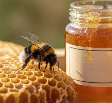 �� ���� ����������� � ����������: ��� �� ��� ���������� �� �������� "���������-2026"