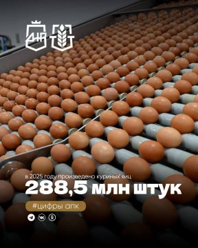 � 2025 ���� ������������ �������� �������� ���������� ��������� 288,5 ��� ���� ������� ���