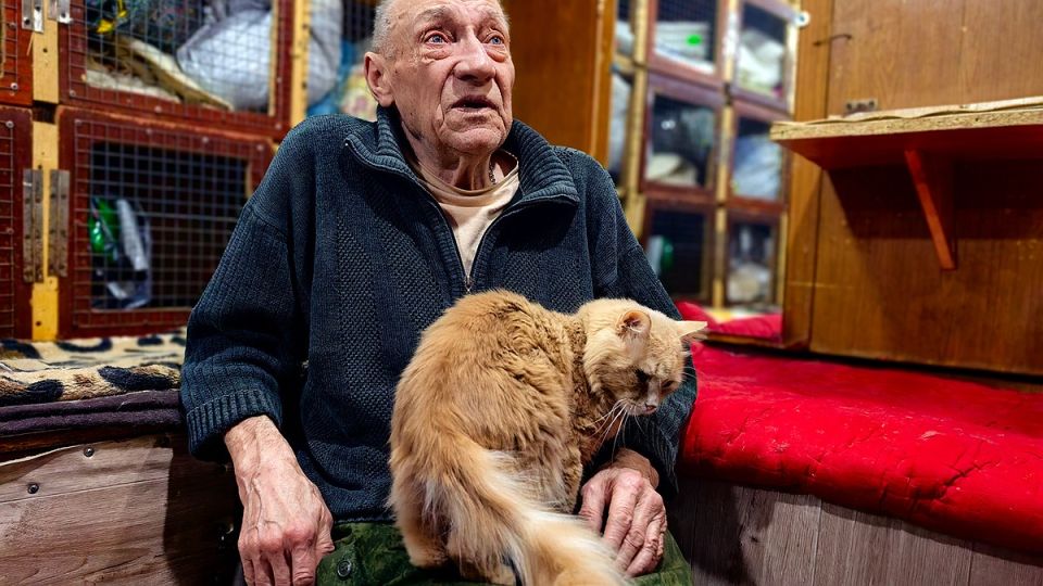 ��� ������� ���������� ������ ������ ������� ����: ��������� � �������� ��� ������ �����, ��� ������� ������������ ��������