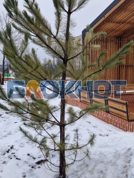 254 ������� ������: � �������� ����� ���������� ��������� �����, ����� ������� ������ ������� ������