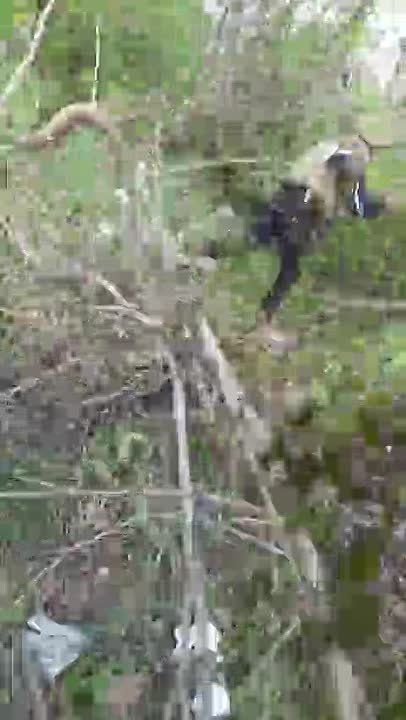 Архив. Уничтоженный бронеавтомобиль Козак-5 ВСУ в н.п. Шахово Донецкой области