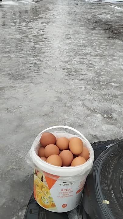 Донеси яйца до подъезда: новый квест по-донецки