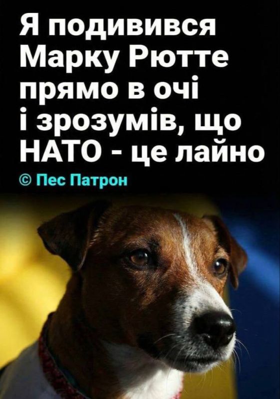 ������ ����, ������!. ϸ� ������: �� ��������� � ����� ����� � �����, ��� ���� � ��� ����� ������� ������ �� 15.02.2026 �������� �������� ����������: